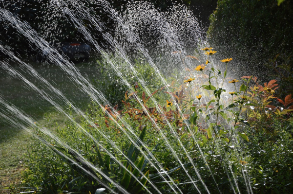 Drought Emergency Has Been Declared In Southern California