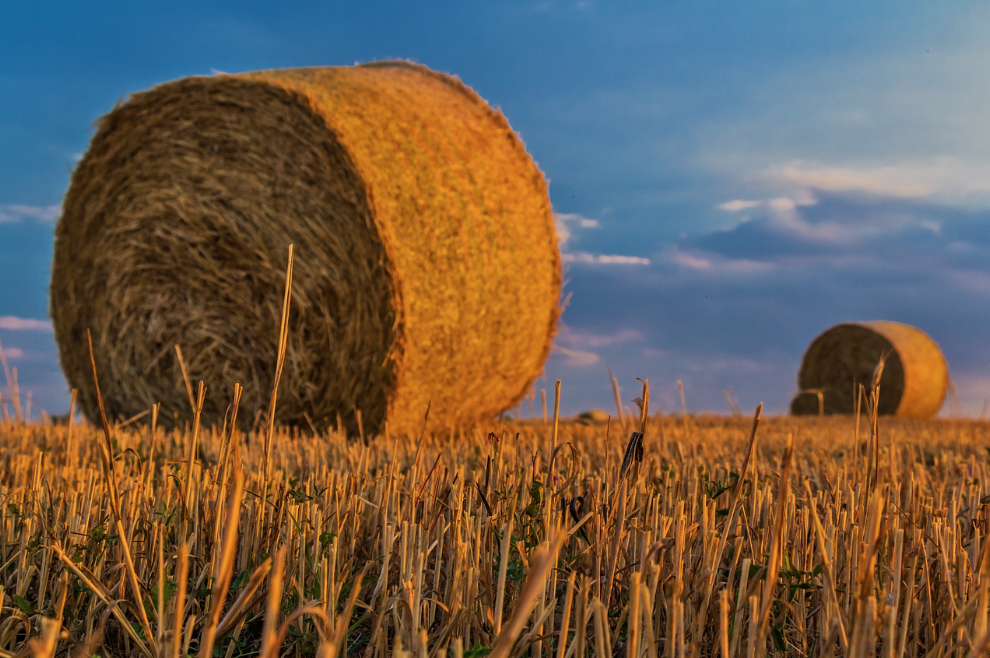 Russian overseas minister faults UN and Ukraine for disintegration of grain agreement