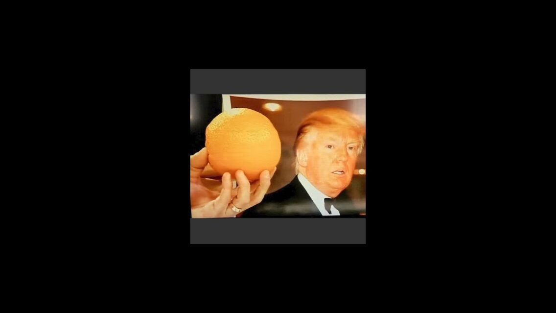 Trump Backs Down and BLEW IT Big time