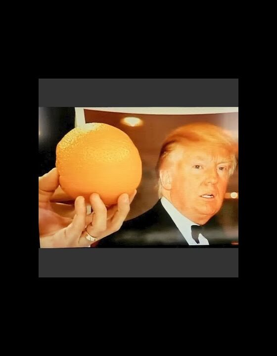 Trump Backs Down and BLEW IT Big time