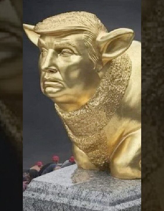 I just don’t get it. WHAT IS THIS?