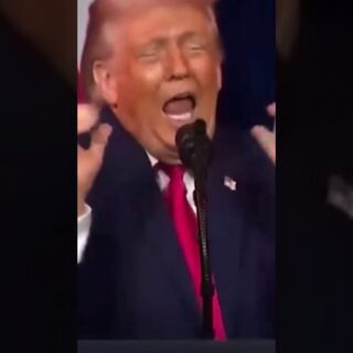 So, what does MAGA think of the latest polls for Daddy Don?