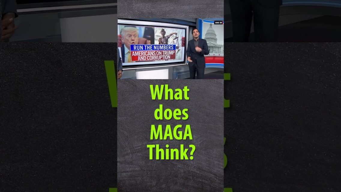 So, what does MAGA think of the latest polls for Daddy Don?
