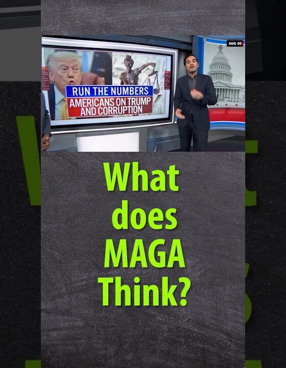 So, what does MAGA think of the latest polls for Daddy Don?