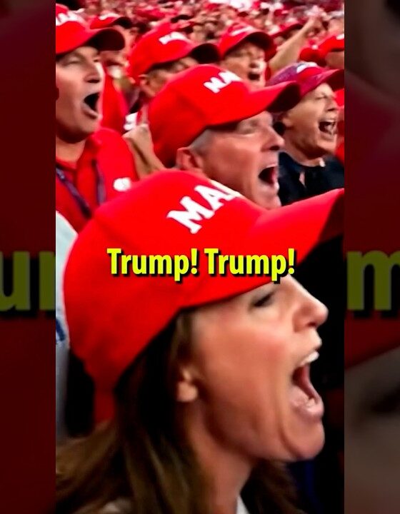 Why are they cheering for THIS??